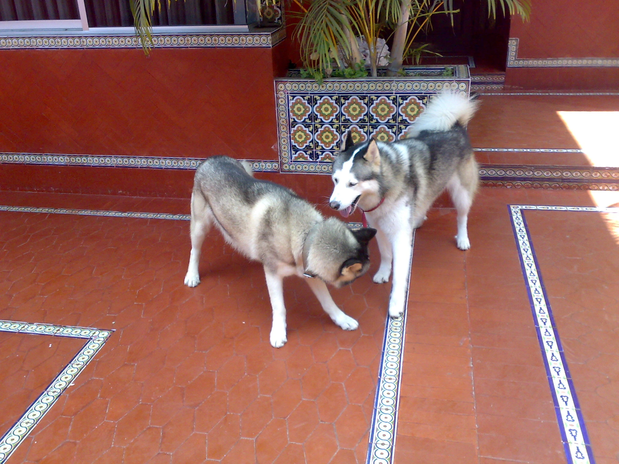 Argos and Buffy together, later years.